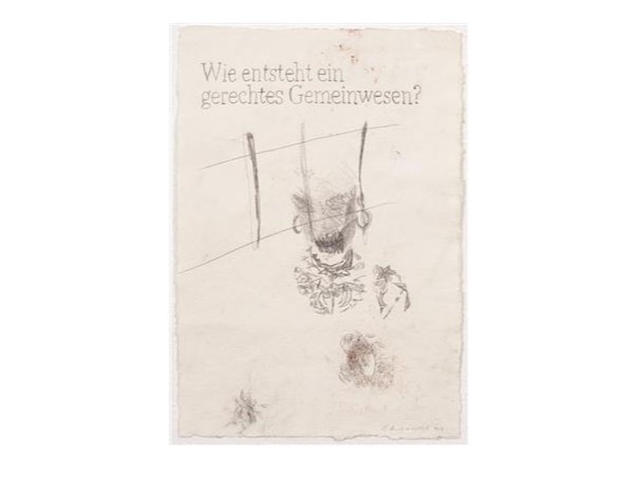 Werk von Iris Andraschek